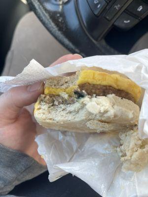 Moldy breakfast sandwich