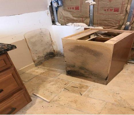 Austin Mold Remediation