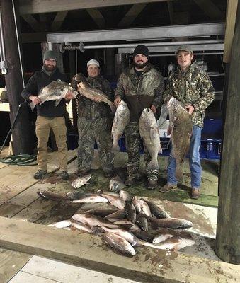 Book your next bowfishing today!