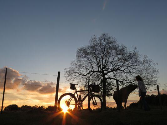 Bike Tourings