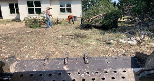 Trees piled up using the bobcat