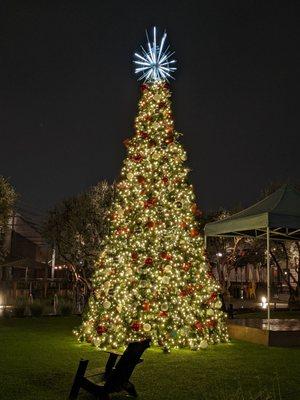 Christmas tree in front of the Hangar