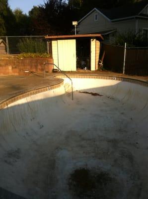 Pool needs a little maintenance