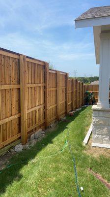 Fence stained in Wylie Tx