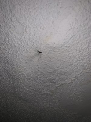 Hole in ceiling from leak