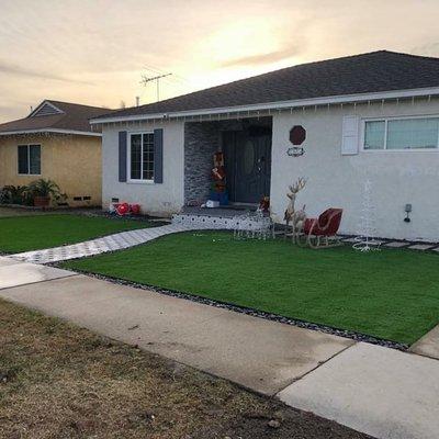 New  Synthetic lawn