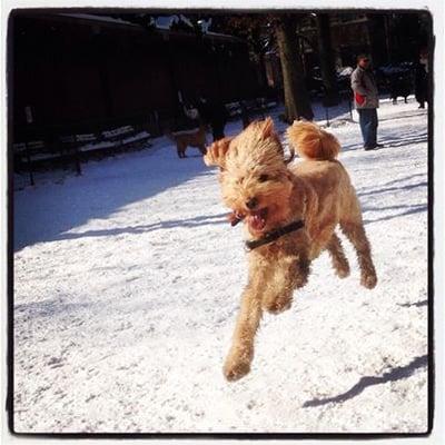 Winston is having the time of his life at play group!