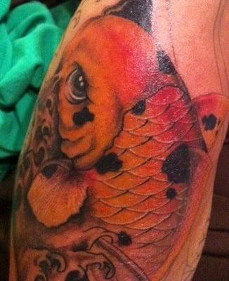 koi fish