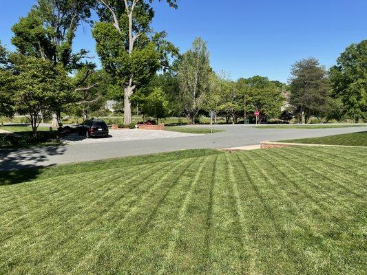 Did some lawn care maintenance for a new client. Always smart to switch up your lines to promote a healthy lawn with an even trim.