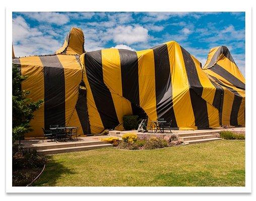 A fumigation in the Rio Grande Valley.