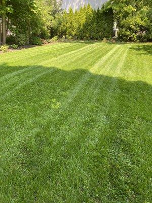 Lawn Maintenance