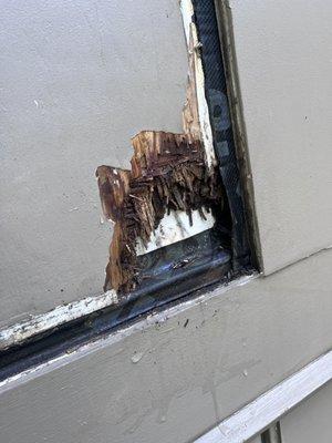 Exterior rot damage