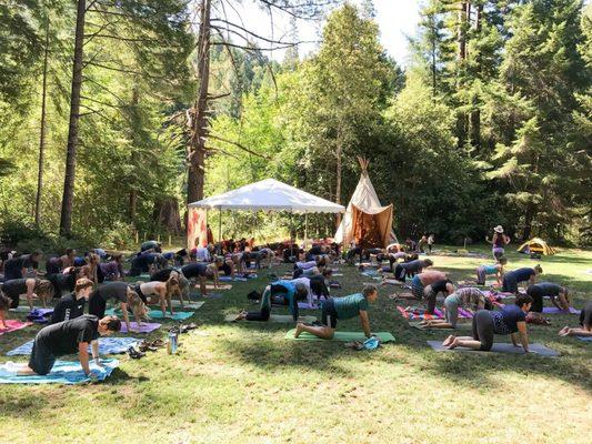 Teaching at a summer festival in the redwoods.