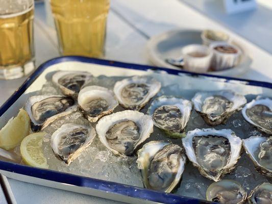 2 of each oysters on the menu! Everything was from small oyster farms in Maine.