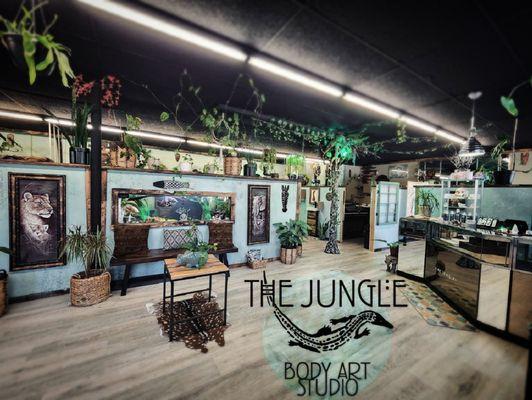 Just some of our spacious lobby with jungle emersive exhibits in our unique studio