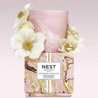 They have a large selection of Nest Fragrance candles!