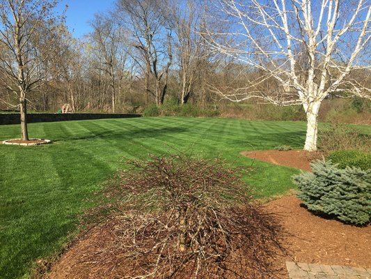 Property Maintenance, Lawn Care, Lawn Mowing. Middletown, CT.