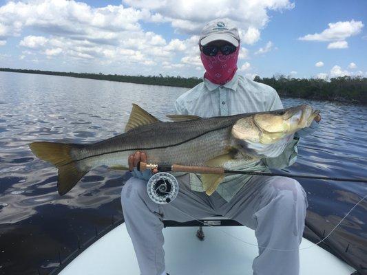 monster snook