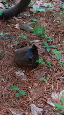 Rusted pail on our site.