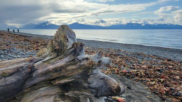 Bishop's Beach