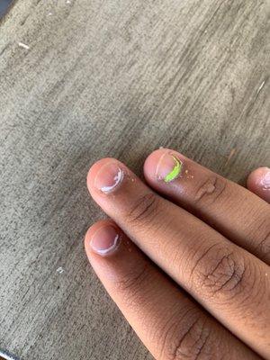 My nails Chipped off the same day