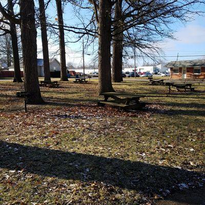 picnic tables and mature trees