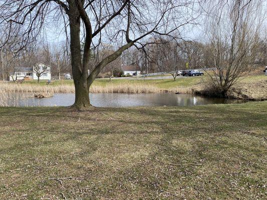 Cute little pond. A few benches surround it, if you want to sit next the water to feed the ducks, or read a book!