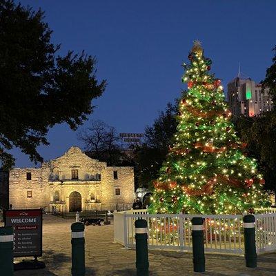 Celebrate the holidays at the Alamo! Join us after hours to walk the beautiful grounds, and of course, see the Christmas tree in the plaza!