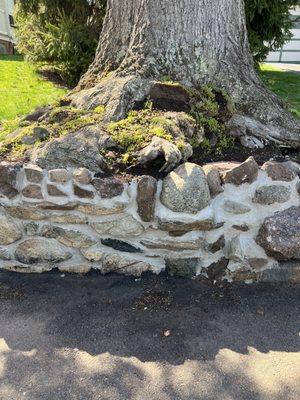 AFTER--Best photo! Look carefully. Wall around huge tree roots repaired with small stones, then repointed