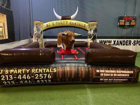 Mechanical bull