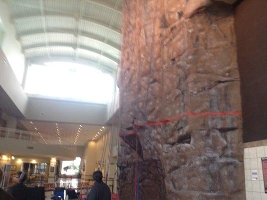 Rock climbing in the rec building