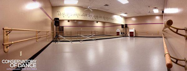 Studio C - Marley floors specifically for ballet.