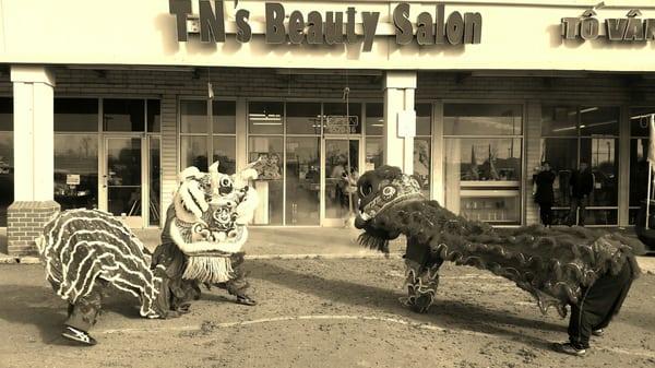 Lion Dance for New Years