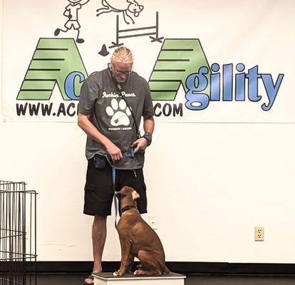 Rockin' Paws at Ace' N Agility