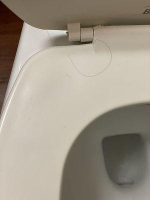 Dirty floor and female hair on toilet seat.