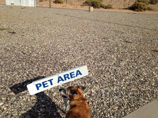 The pet area is behind the visitors center @ Mesquite Visitors Center - 7/28/16