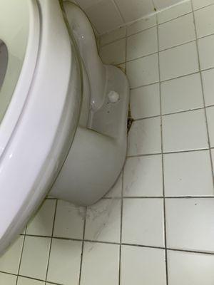 Toilet not attached to the ground