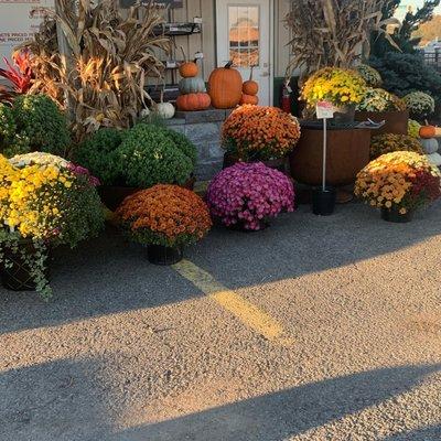 Standing Stone Nursery