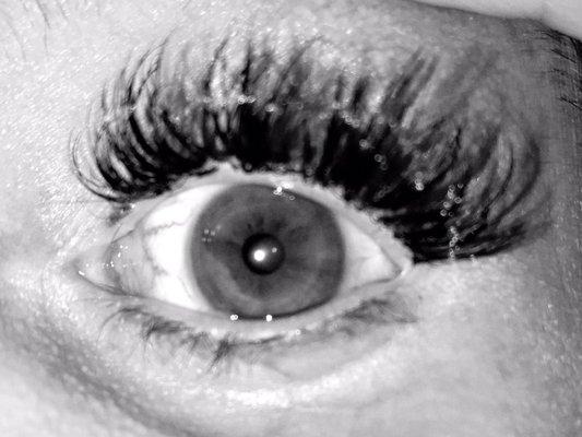 FANTASTIC VOLUME LASH! I asked for extra "Pow" for a concert & Carrie delivered! LOOK AT THAT AMAZING FLUTTER! compliments are insane!!!