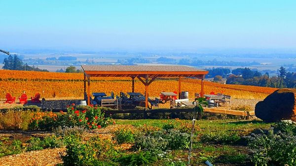 Over looking the Willamette Valley from Brooks Wines