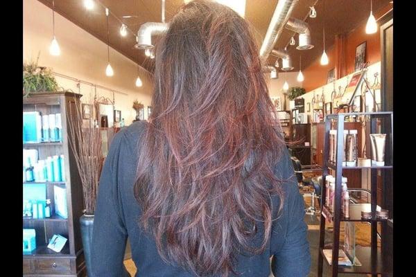 Baleyage Highlights