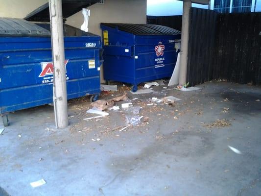 Dumpster Area...Manager refuses to Tidy area...Not her JOB.