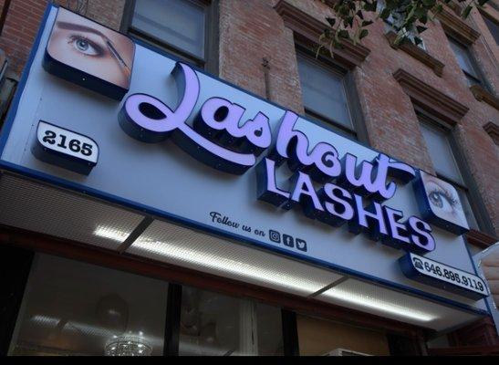 Lash Out Lashes