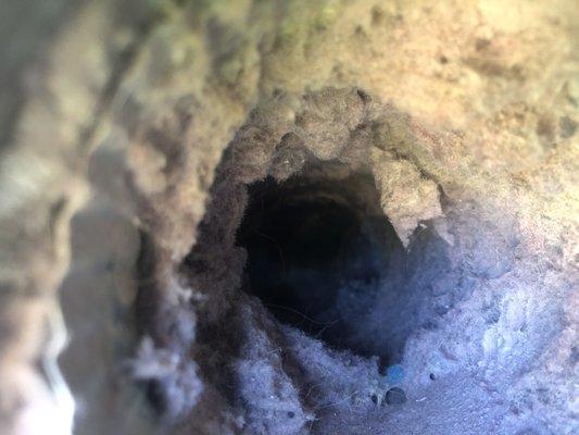 A dryer vent prior to cleaning