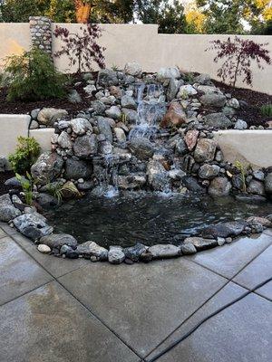 New pond water garden designed/built by Dennis Kading, his company, The Pond Pros of Southern California-626-206-7236 service/consultation