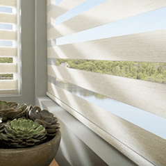 Hunter Douglas Designer Banded Shades