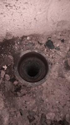 Cracked Sewer line removed