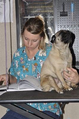 Laura and " Chevy" studying at Golden Paws where we make dreams come true!!!