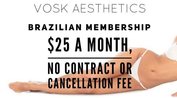 Vosk Aesthetics