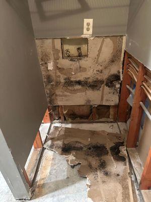 Hidden mold damage behind drywall